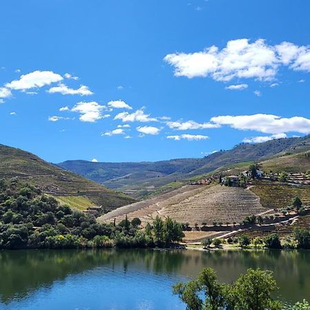 Douro Studio Lägenhet Cinfães Exteriör bild