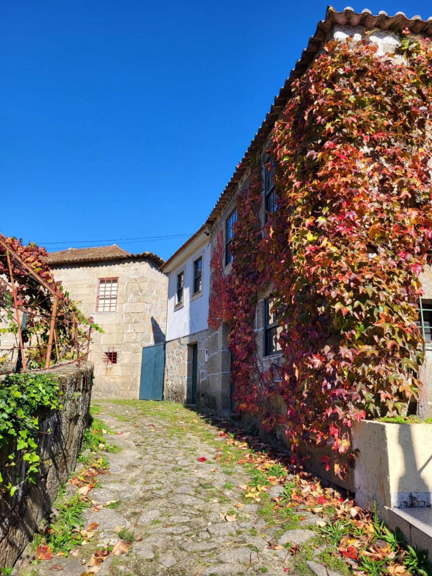 Douro Studio Lägenhet Cinfães Exteriör bild