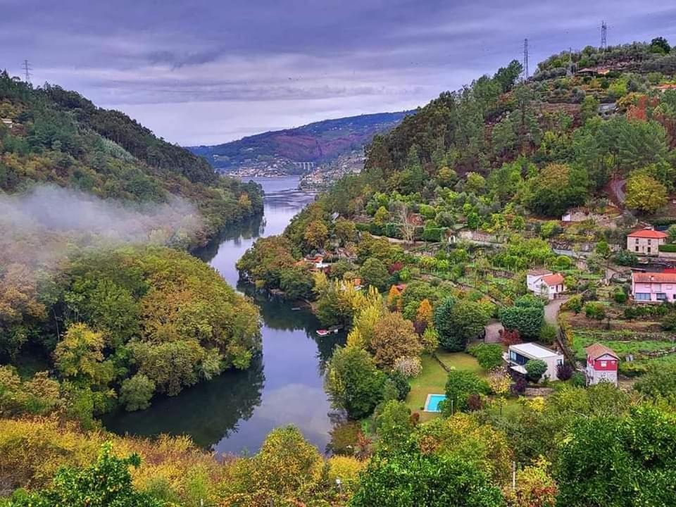 Douro Studio Lägenhet Cinfães Exteriör bild