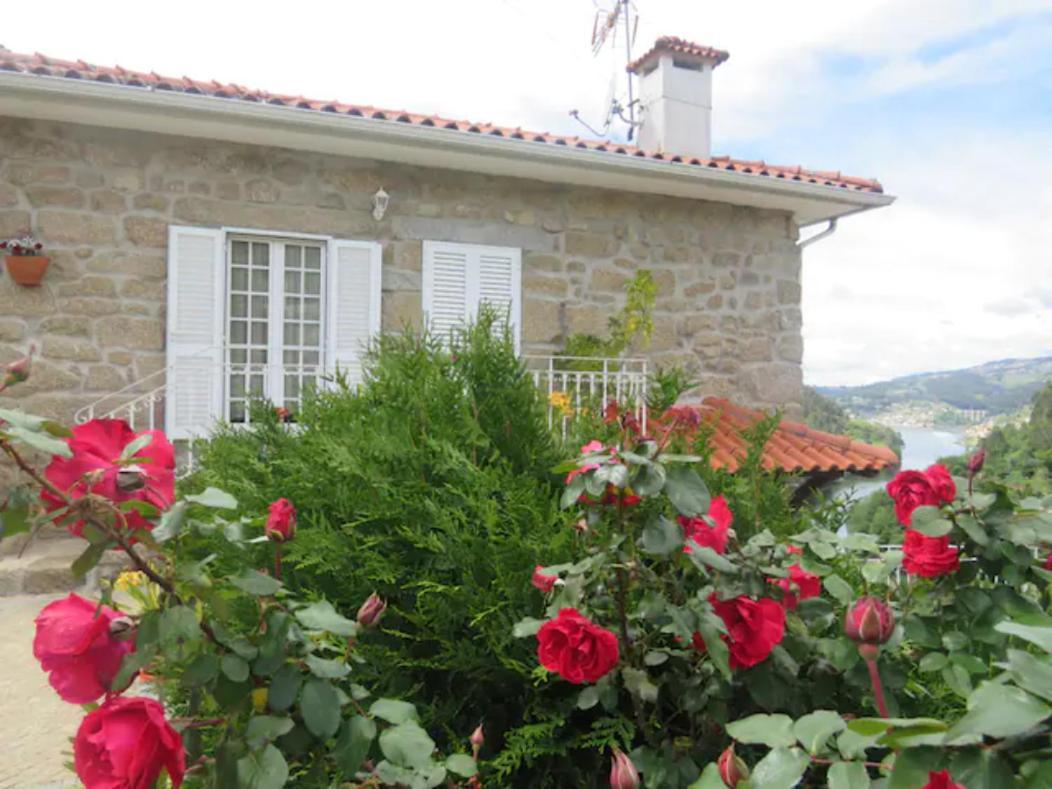 Douro Studio Cinfães Exteriör bild